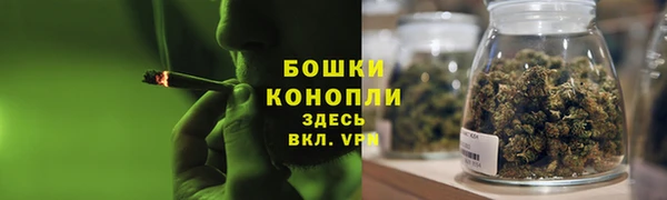ПСИЛОЦИБИНОВЫЕ ГРИБЫ Аркадак